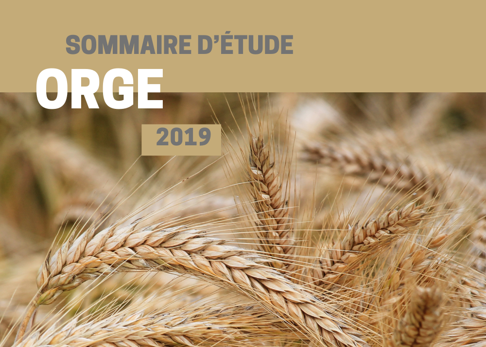 Études de coûts de production : SOMMAIRE - COÛT DE PRODUCTION - ORGE 2019